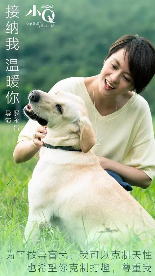 一比一仿澳大利亚medicare卡